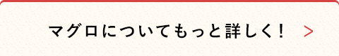 マグロについてもっと詳しく！