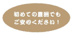 初めての豊洲でも