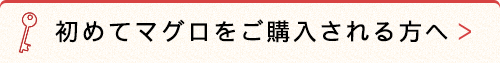 年間一定価格の