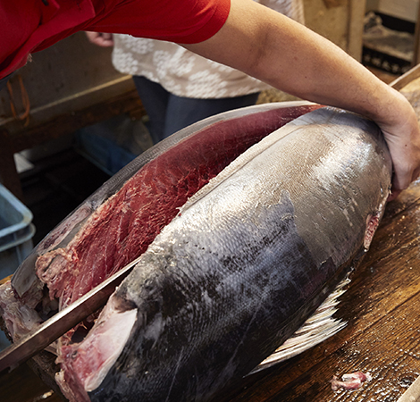 マグロカット