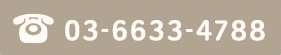 03-6633-4788